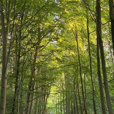 House C - North Sea Σπίτι διακοπών