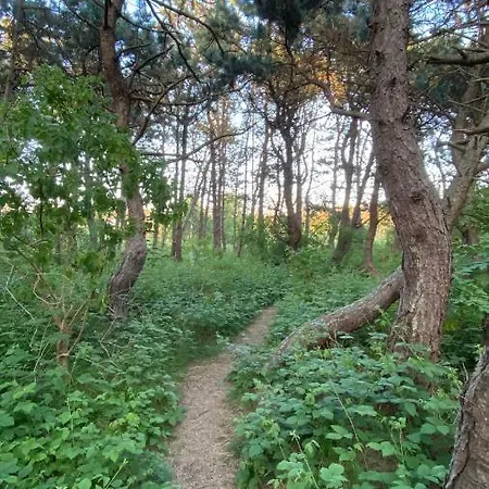 Prázdninový dům House C - North Sea