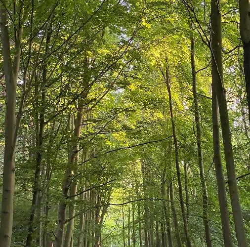 House C - North Sea Casa vacanze