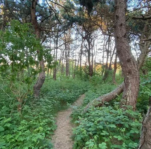 Vakantiehuis House C - North Sea